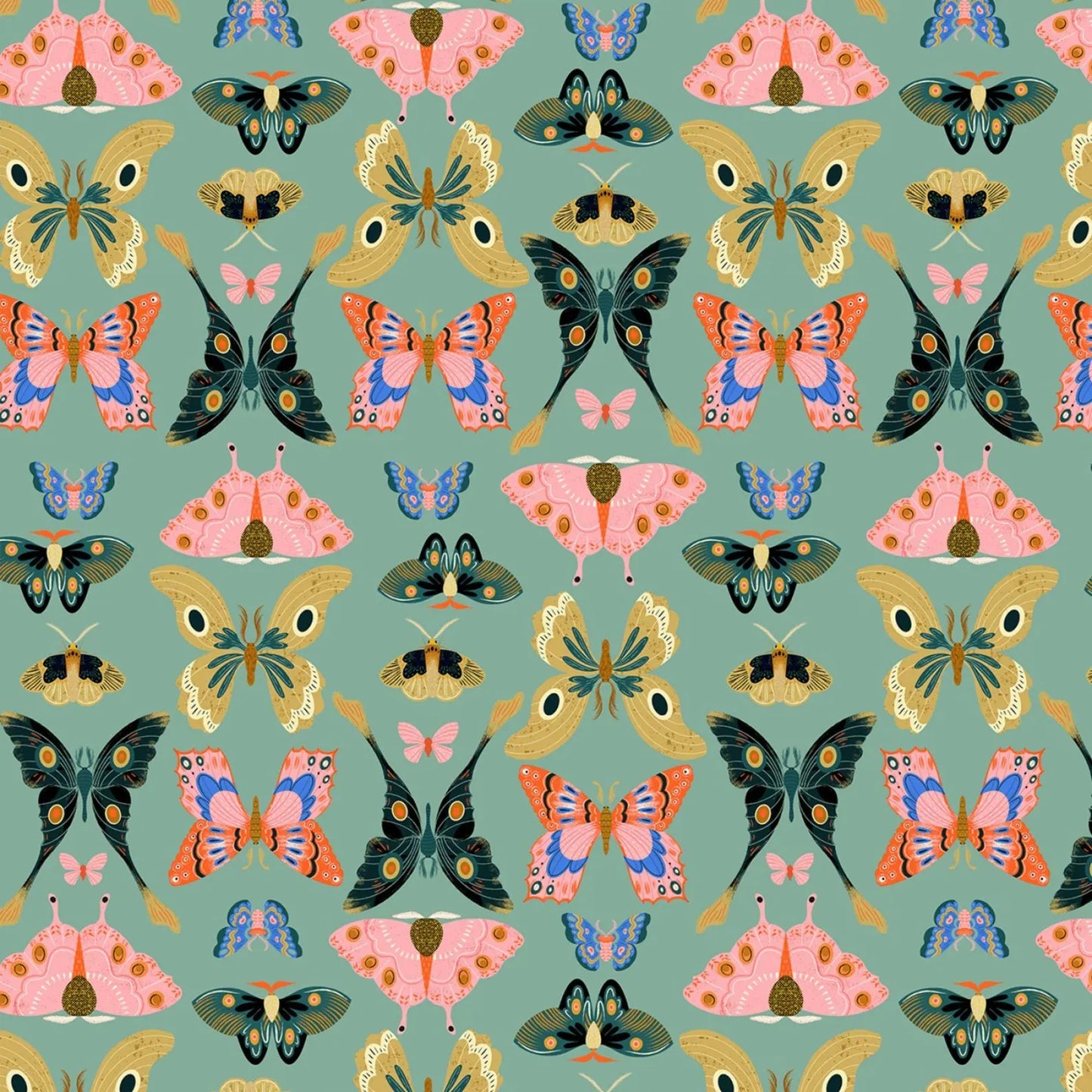 Flora & Fauna